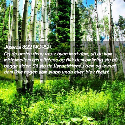 Picture 02 - Josvas 8:22 NORSK - Og de andre drog ut av byen imot dem, så de kom - Bible Verse Picture