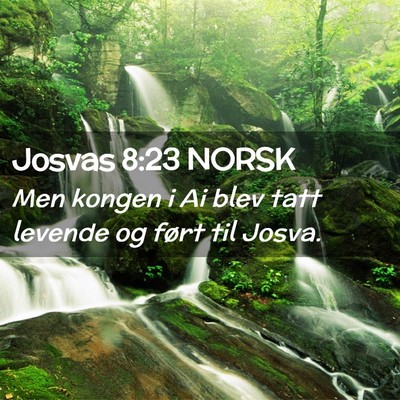 Picture 02 - Josvas 8:23 NORSK - Men kongen i Ai blev tatt levende og ført til - Bible Verse Picture