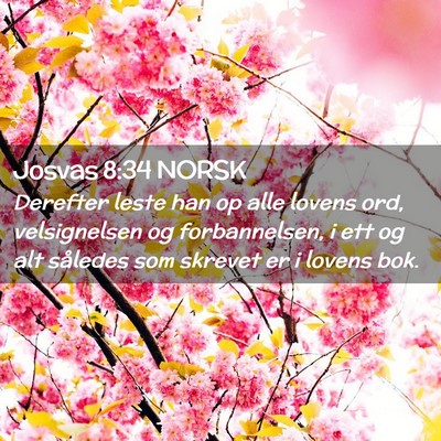 Picture 02 - Josvas 8:34 NORSK - Derefter leste han op alle lovens ord, - Bible Verse Picture