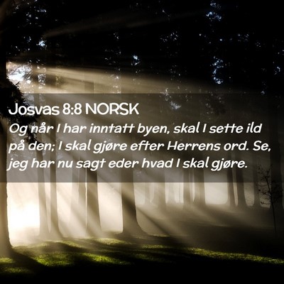 Picture 02 - Josvas 8:8 NORSK - Og når I har inntatt byen, skal I sette ild på - Bible Verse Picture