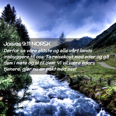 Picture 02 - Josvas 9:11 NORSK - Derfor sa våre eldste og alle vårt lands - Bible Verse Picture