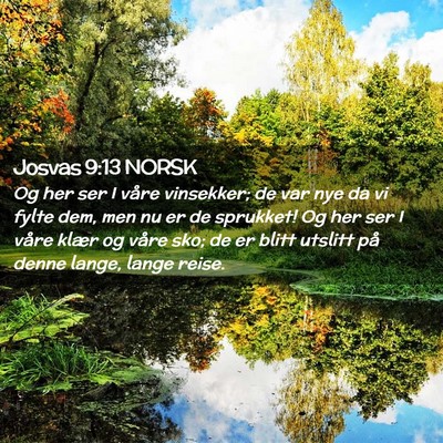 Picture 02 - Josvas 9:13 NORSK - Og her ser I våre vinsekker; de var nye da vi - Bible Verse Picture