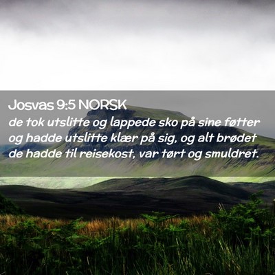 Picture 02 - Josvas 9:5 NORSK - de tok utslitte og lappede sko på sine føtter - Bible Verse Picture