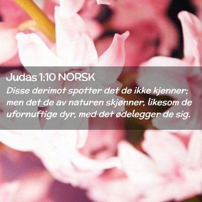 Picture 02 - Judas 1:10 NORSK - Disse derimot spotter det de ikke kjenner; men - Bible Verse Picture