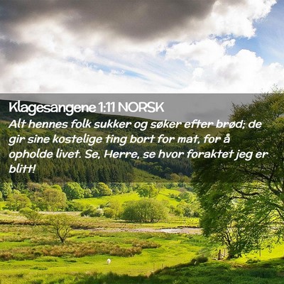 Picture 02 - Klagesangene 1:11 NORSK - Alt hennes folk sukker og søker efter brød; de - Bible Verse Picture