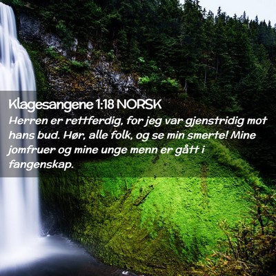 Picture 02 - Klagesangene 1:18 NORSK - Herren er rettferdig, for jeg var gjenstridig mot - Bible Verse Picture