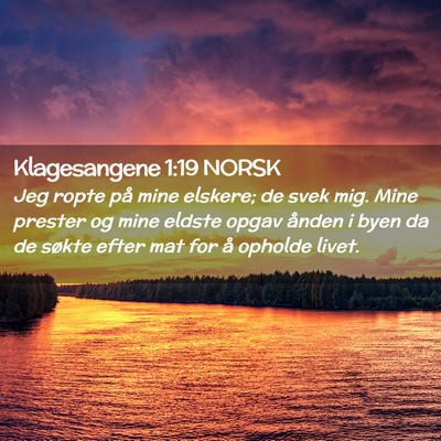 Picture 02 - Klagesangene 1:19 NORSK - Jeg ropte på mine elskere; de svek mig. Mine - Bible Verse Picture