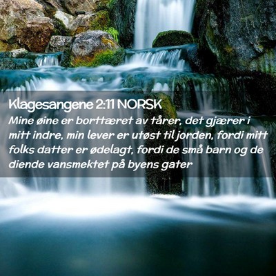 Picture 02 - Klagesangene 2:11 NORSK - Mine øine er borttæret av tårer, det gjærer i - Bible Verse Picture