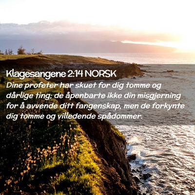 Picture 02 - Klagesangene 2:14 NORSK - Dine profeter har skuet for dig tomme og dårlige - Bible Verse Picture