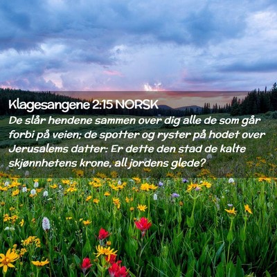 Picture 02 - Klagesangene 2:15 NORSK - De slår hendene sammen over dig alle de som går - Bible Verse Picture