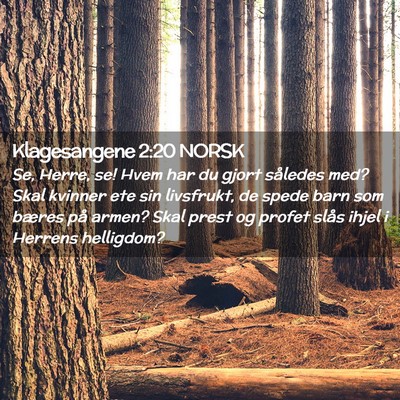 Picture 02 - Klagesangene 2:20 NORSK - Se, Herre, se! Hvem har du gjort således med? - Bible Verse Picture