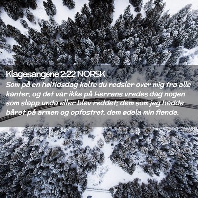 Picture 02 - Klagesangene 2:22 NORSK - Som på en høitidsdag kalte du redsler over mig - Bible Verse Picture