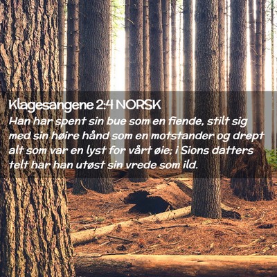 Picture 02 - Klagesangene 2:4 NORSK - Han har spent sin bue som en fiende, stilt sig - Bible Verse Picture