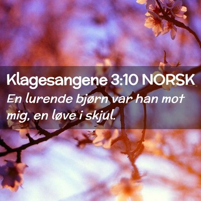 Picture 02 - Klagesangene 3:10 NORSK - En lurende bjørn var han mot mig, en løve i - Bible Verse Picture
