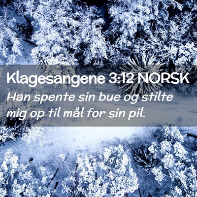 Picture 02 - Klagesangene 3:12 NORSK - Han spente sin bue og stilte mig op til mål for - Bible Verse Picture