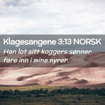 Picture 02 - Klagesangene 3:13 NORSK - Han lot sitt koggers sønner fare inn i mine - Bible Verse Picture