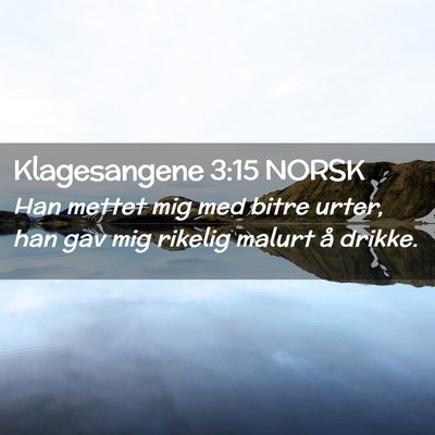 Picture 02 - Klagesangene 3:15 NORSK - Han mettet mig med bitre urter, han gav mig - Bible Verse Picture