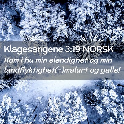 Picture 02 - Klagesangene 3:19 NORSK - Kom i hu min elendighet og min - Bible Verse Picture