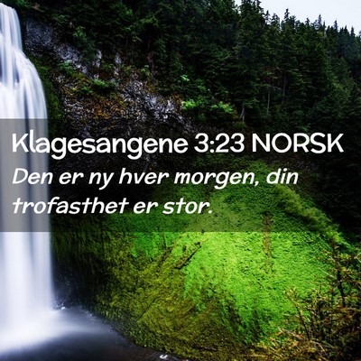 Picture 02 - Klagesangene 3:23 NORSK - Den er ny hver morgen, din trofasthet er - Bible Verse Picture