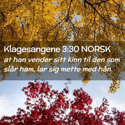 Picture 02 - Klagesangene 3:30 NORSK - at han vender sitt kinn til den som slår ham, - Bible Verse Picture