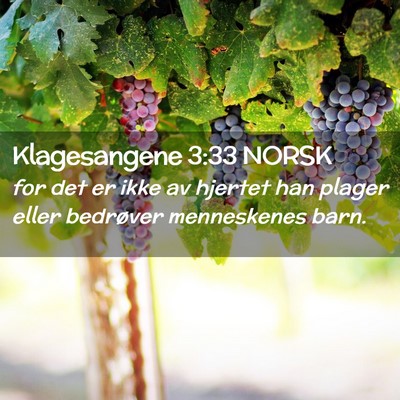 Picture 02 - Klagesangene 3:33 NORSK - for det er ikke av hjertet han plager eller - Bible Verse Picture