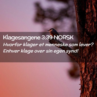 Picture 02 - Klagesangene 3:39 NORSK - Hvorfor klager et menneske som lever? Enhver - Bible Verse Picture