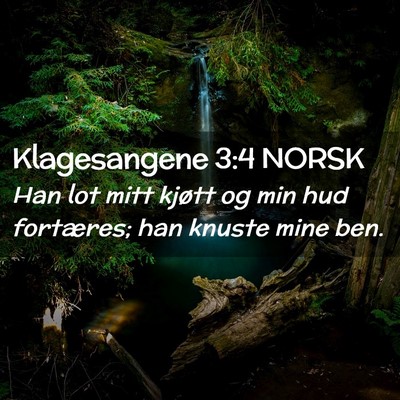 Picture 02 - Klagesangene 3:4 NORSK - Han lot mitt kjøtt og min hud fortæres; han - Bible Verse Picture