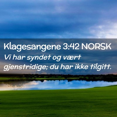 Picture 02 - Klagesangene 3:42 NORSK - Vi har syndet og vært gjenstridige; du har ikke - Bible Verse Picture