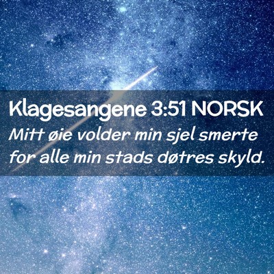 Picture 02 - Klagesangene 3:51 NORSK - Mitt øie volder min sjel smerte for alle min - Bible Verse Picture