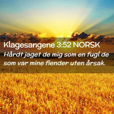 Picture 02 - Klagesangene 3:52 NORSK - Hårdt jaget de mig som en fugl de som var mine - Bible Verse Picture