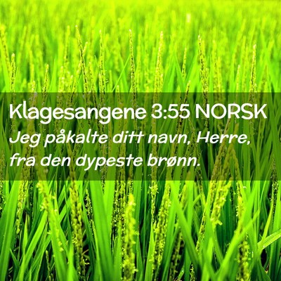 Picture 02 - Klagesangene 3:55 NORSK - Jeg påkalte ditt navn, Herre, fra den dypeste - Bible Verse Picture