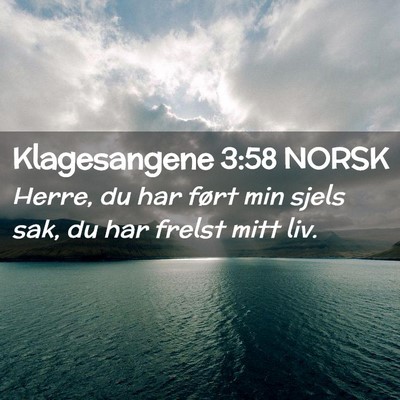 Picture 02 - Klagesangene 3:58 NORSK - Herre, du har ført min sjels sak, du har frelst - Bible Verse Picture
