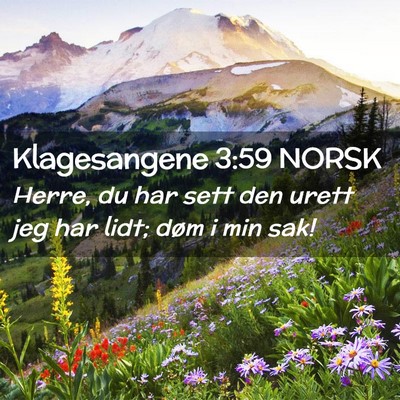 Picture 02 - Klagesangene 3:59 NORSK - Herre, du har sett den urett jeg har lidt; døm i - Bible Verse Picture