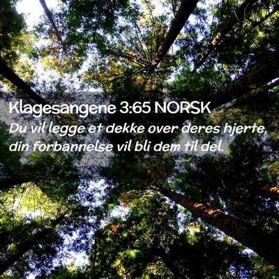 Picture 02 - Klagesangene 3:65 NORSK - Du vil legge et dekke over deres hjerte, din - Bible Verse Picture