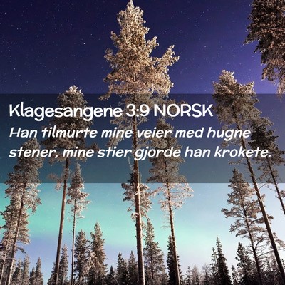 Picture 02 - Klagesangene 3:9 NORSK - Han tilmurte mine veier med hugne stener, mine - Bible Verse Picture