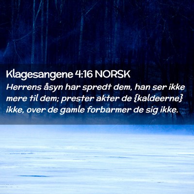Picture 02 - Klagesangene 4:16 NORSK - Herrens åsyn har spredt dem, han ser ikke mere - Bible Verse Picture