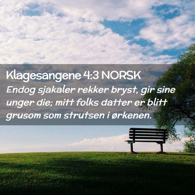 Picture 02 - Klagesangene 4:3 NORSK - Endog sjakaler rekker bryst, gir sine unger die; - Bible Verse Picture