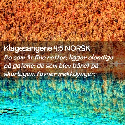 Picture 02 - Klagesangene 4:5 NORSK - De som åt fine retter, ligger elendige på - Bible Verse Picture