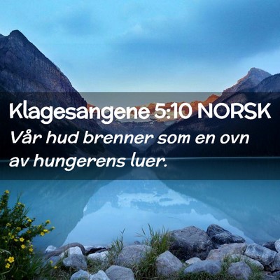 Picture 02 - Klagesangene 5:10 NORSK - Vår hud brenner som en ovn av hungerens - Bible Verse Picture