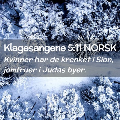 Picture 02 - Klagesangene 5:11 NORSK - Kvinner har de krenket i Sion, jomfruer i Judas - Bible Verse Picture