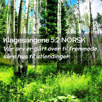 Picture 02 - Klagesangene 5:2 NORSK - Vår arv er gått over til fremmede, våre hus - Bible Verse Picture