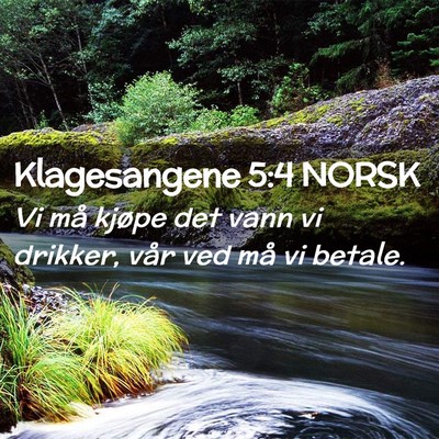 Picture 02 - Klagesangene 5:4 NORSK - Vi må kjøpe det vann vi drikker, vår ved må - Bible Verse Picture