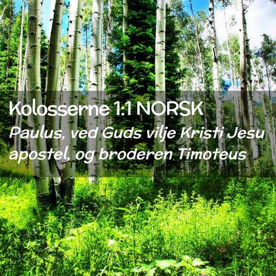 Picture 02 - Kolosserne 1:1 NORSK - Paulus, ved Guds vilje Kristi Jesu apostel, og - Bible Verse Picture