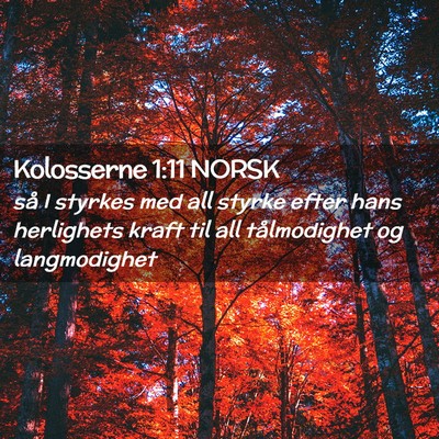 Picture 02 - Kolosserne 1:11 NORSK - så I styrkes med all styrke efter hans - Bible Verse Picture