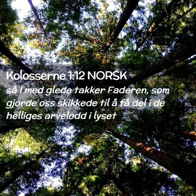 Picture 02 - Kolosserne 1:12 NORSK - så I med glede takker Faderen, som gjorde oss - Bible Verse Picture