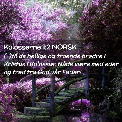 Picture 02 - Kolosserne 1:2 NORSK - (-)til de hellige og troende brødre i Kristus i - Bible Verse Picture