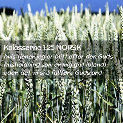 Picture 02 - Kolosserne 1:25 NORSK - hvis tjener jeg er blitt efter den Guds - Bible Verse Picture