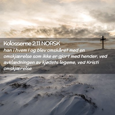 Picture 02 - Kolosserne 2:11 NORSK - han i hvem I og blev omskåret med en - Bible Verse Picture
