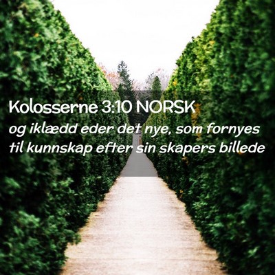 Picture 02 - Kolosserne 3:10 NORSK - og iklædd eder det nye, som fornyes til kunnskap - Bible Verse Picture
