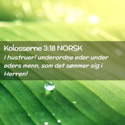 Picture 02 - Kolosserne 3:18 NORSK - I hustruer! underordne eder under eders menn, som - Bible Verse Picture